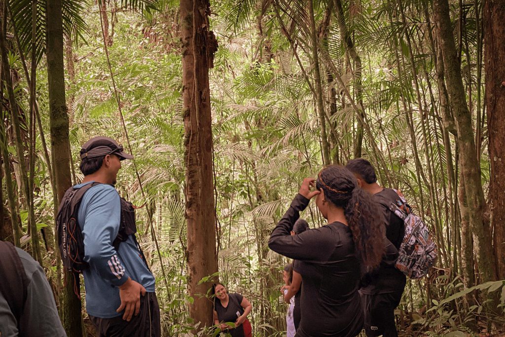 A group hikes together through a lush forest trail.