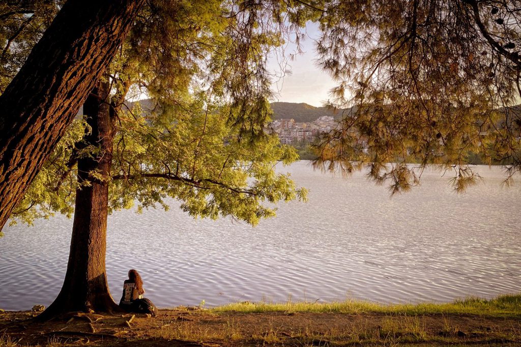 A person sits alone under a tree by a lake at sunset, looking out over the water toward the hills.