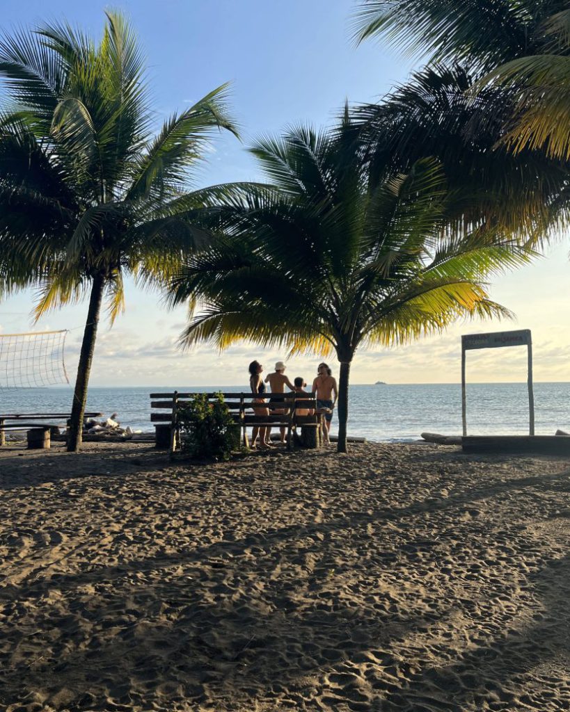 A family relaxes on a bench under palm trees, looking out at the ocean at sunset.