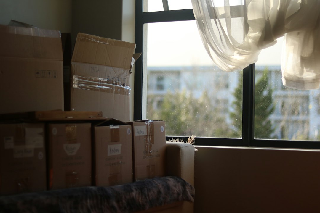 A sunlit room with moving boxes, mid-unpack after returning home from living abroad